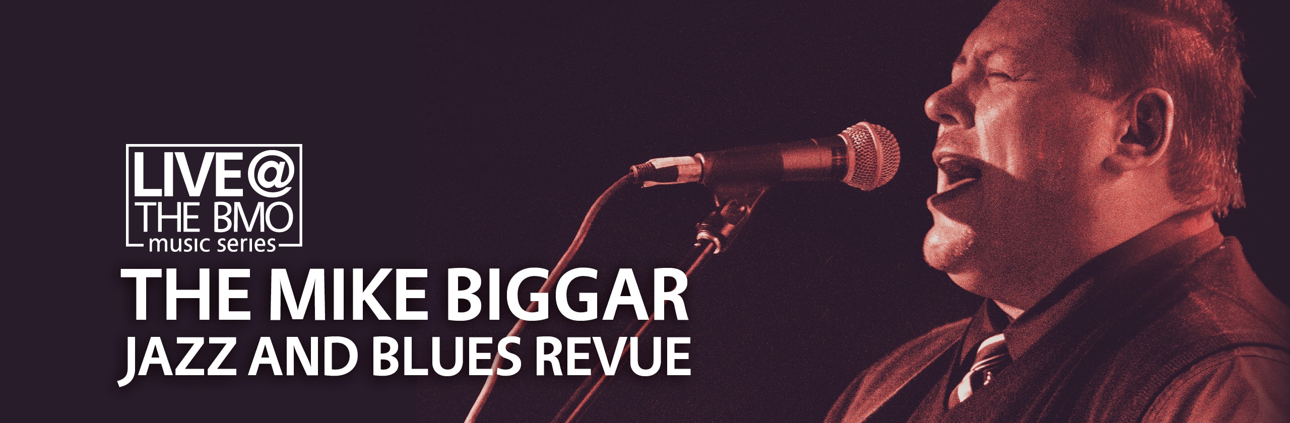 The Mike Biggar Jazz and Blues Revue